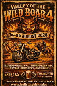 Valley of the Wild Boar 2026 day ticket 7th - 9th August